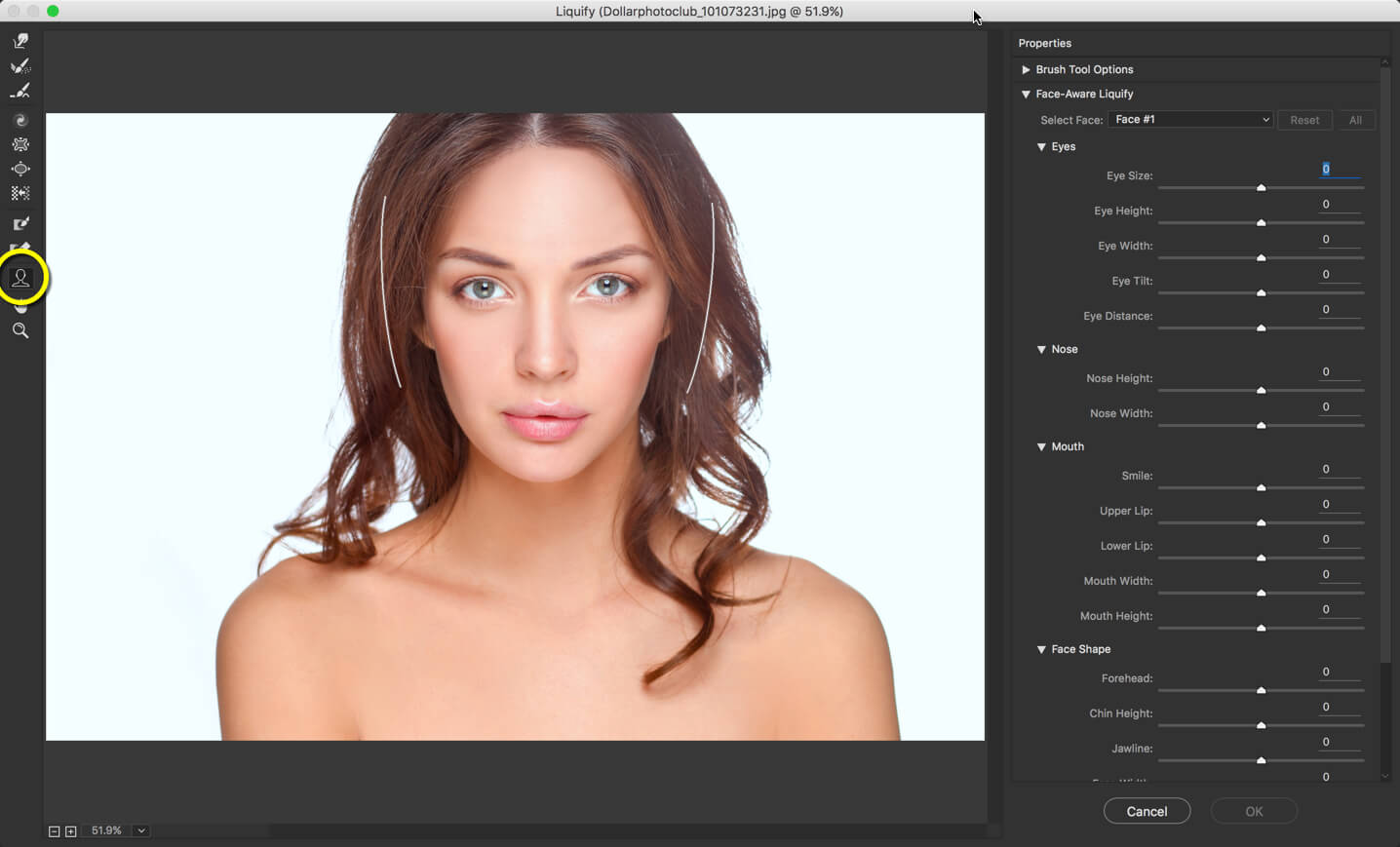 adobe photoshop liquify tool download