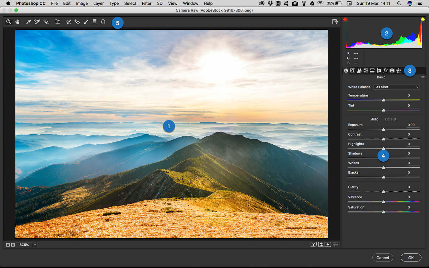 camera raw filter for photoshop cs5 free download