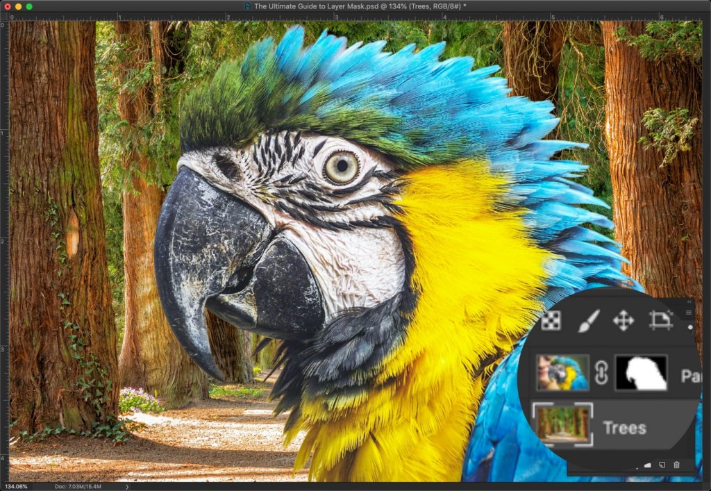 The Ultimate Guide to Layer Mask in