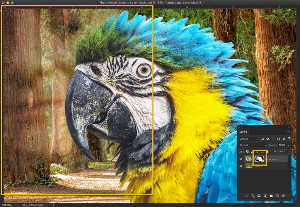 The Ultimate Guide to Layer Mask in Photoshop - TrickyPhotoshop